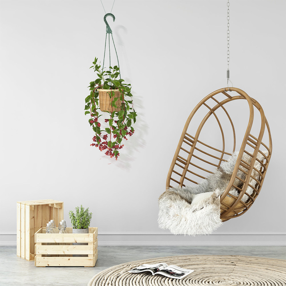 Spider Plant Hanging - Juego de 5 ganchos para colgar