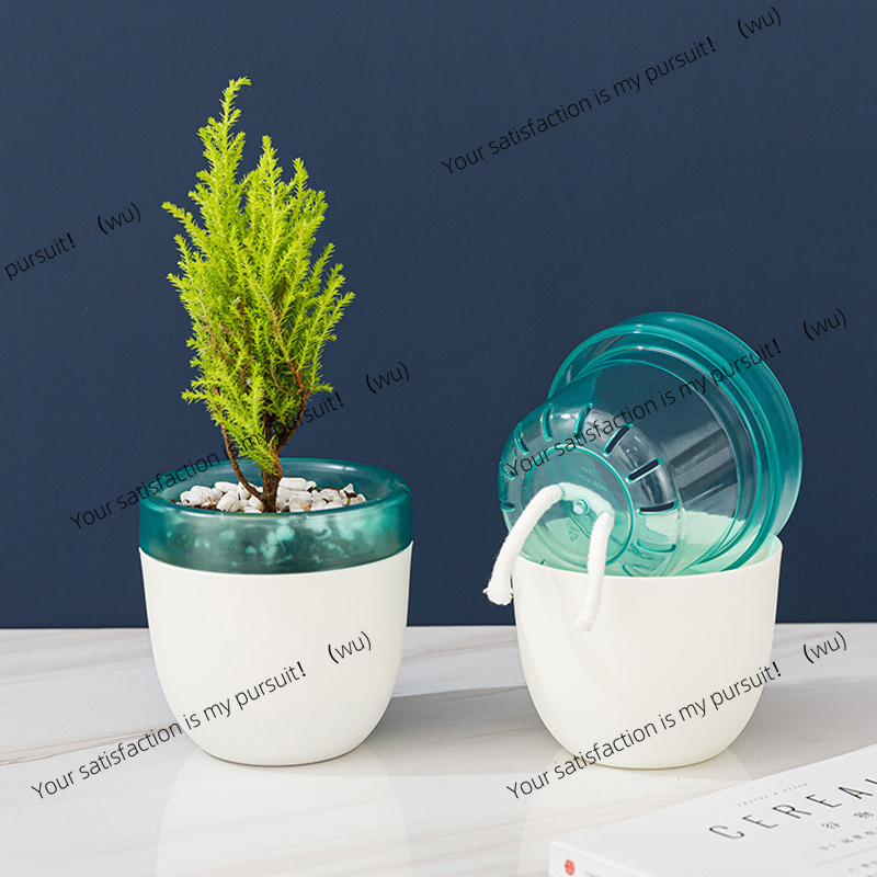 Aloe Vera Pot - Maceta perezosa con absorción de agua