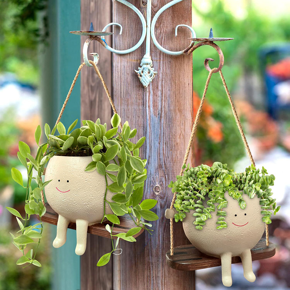 Cestas para colgar plantas, ma - Echeveria Succulent reseña y precio