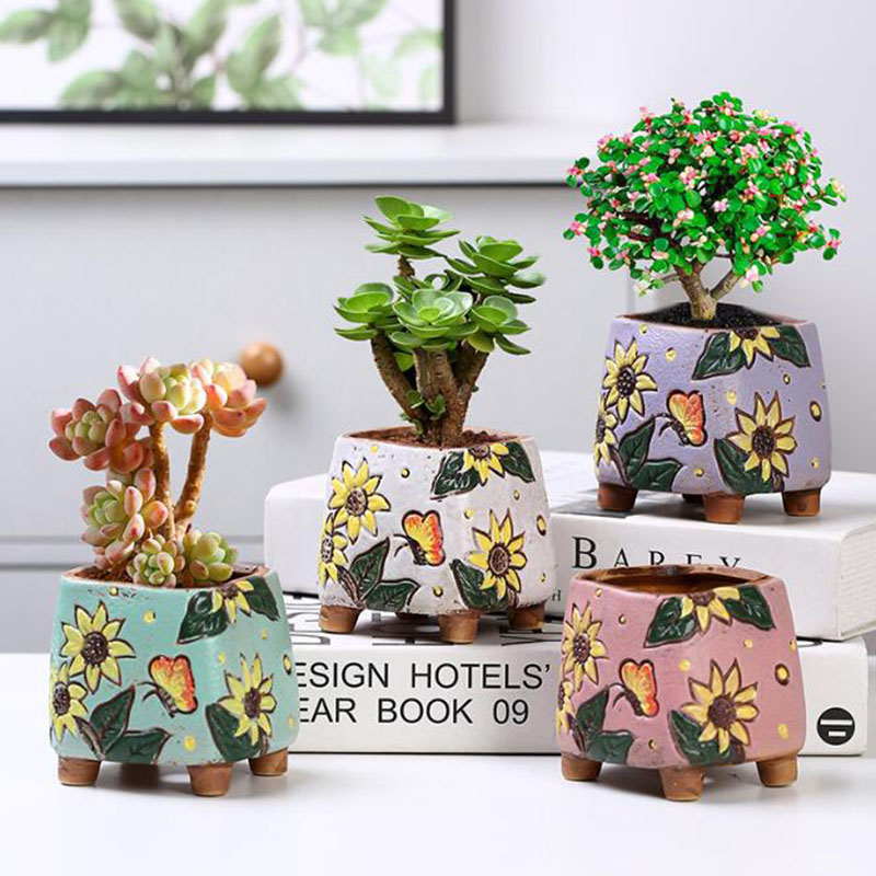 Maceta de plantas suculentas c - Echeveria Succulent reseña y precio