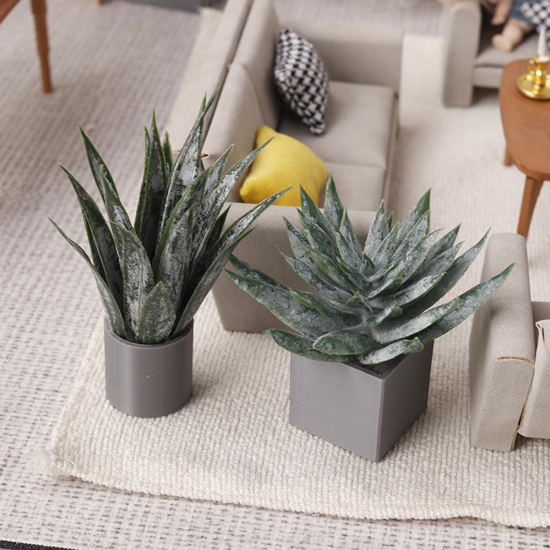 Miniatura de Planta de Aloe Ve - Aloe Vera Pot reseña y precio
