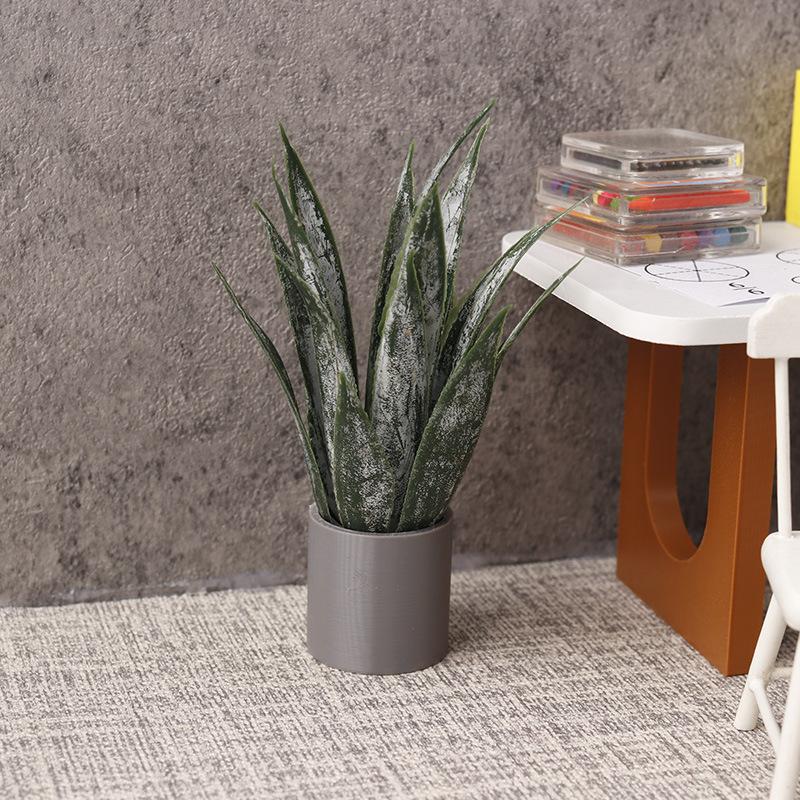 Miniatura de Planta de Aloe Ve - Aloe Vera Pot reseña y precio