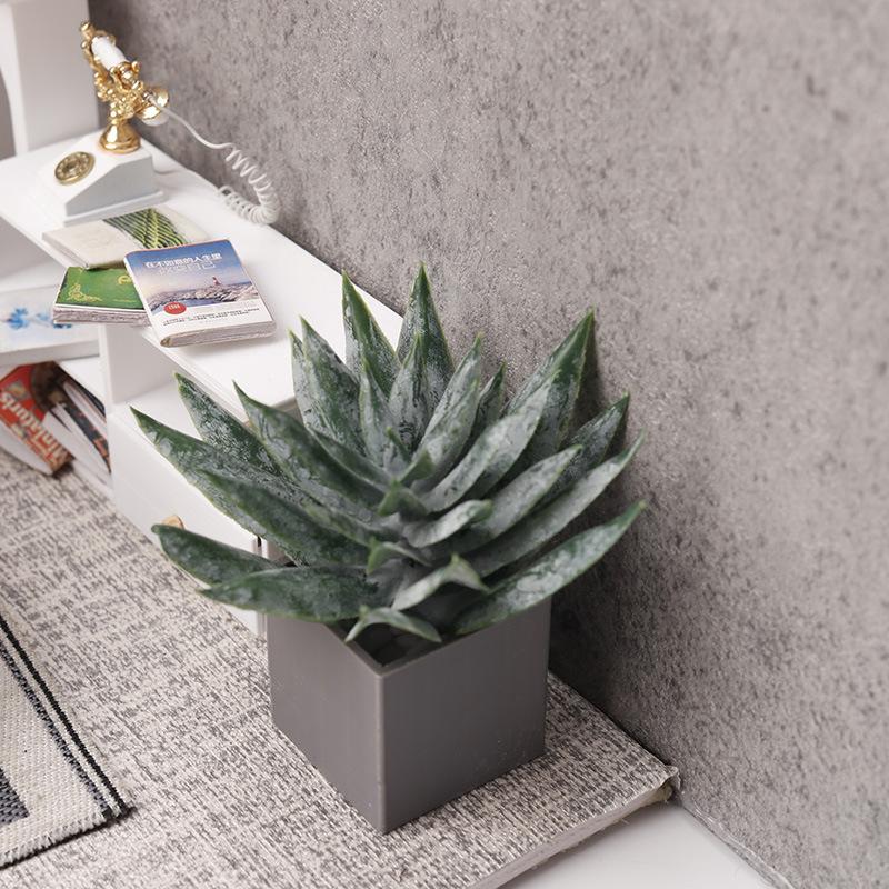 Miniatura de Planta de Aloe Ve - Aloe Vera Pot reseña y precio