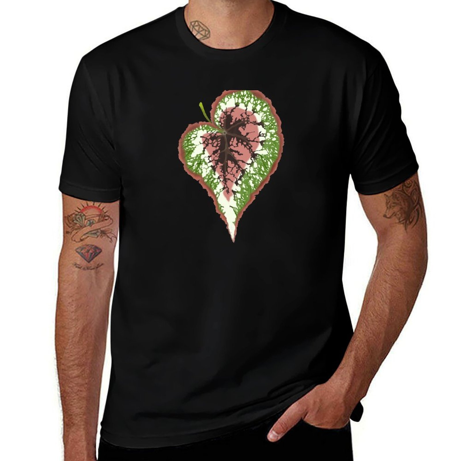 Camiseta Begonia Rex, diseño b - Begonia Rex reseña y precio
