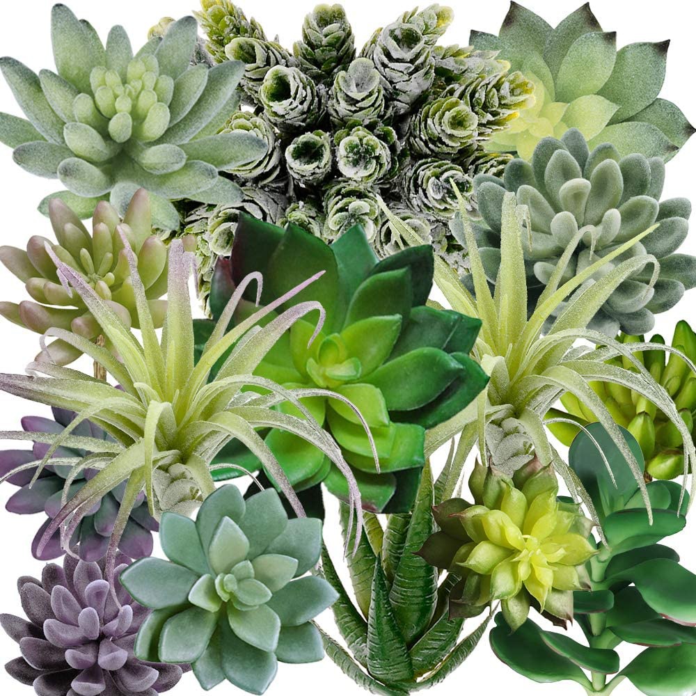Paquete de 15 Suculentas Artif - Echeveria Succulent reseña y precio