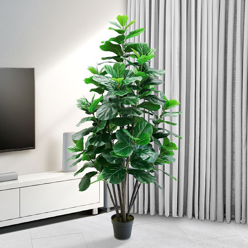 Planta Artificial de Ficus Lyr - Ficus Lyrata Tree reseña y precio