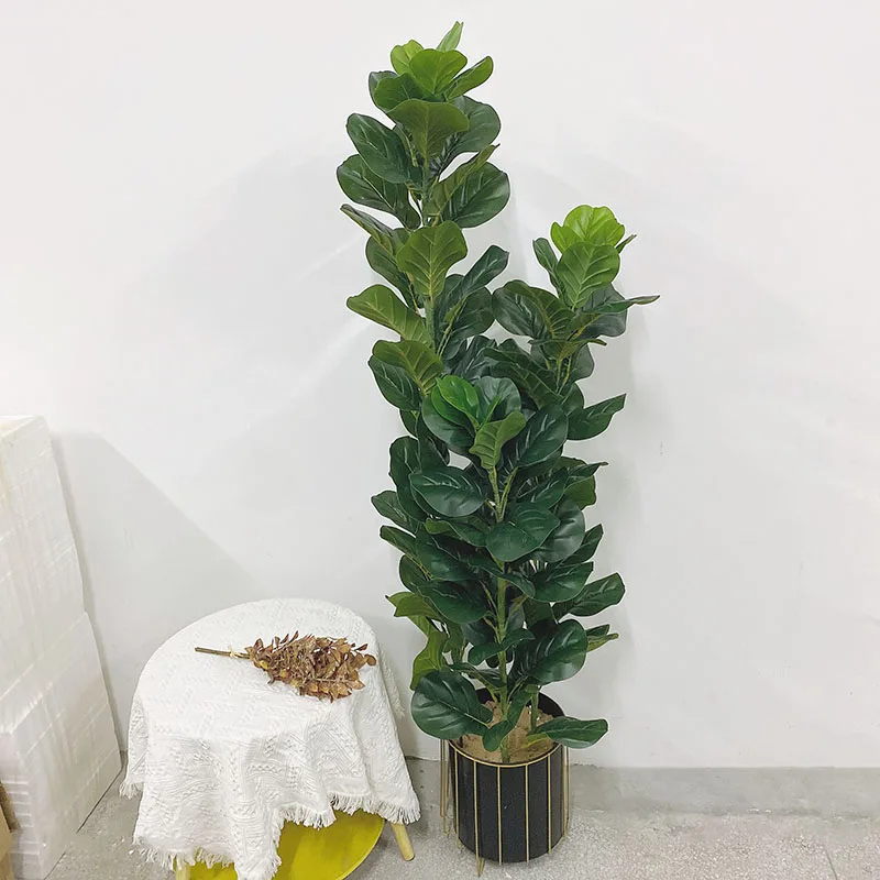 Planta Artificial de Ficus Lyr - Ficus Lyrata Tree reseña y precio
