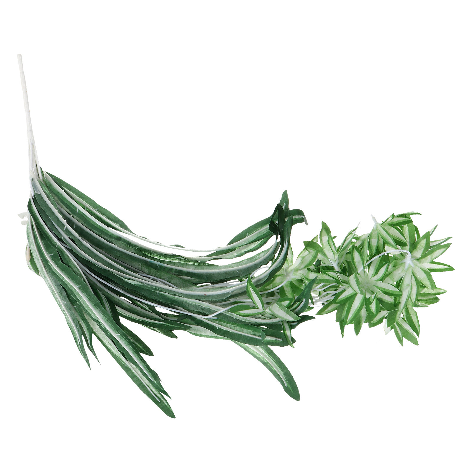 1 Pieza de Planta de Araña Art - Spider Plant Hanging reseña y precio