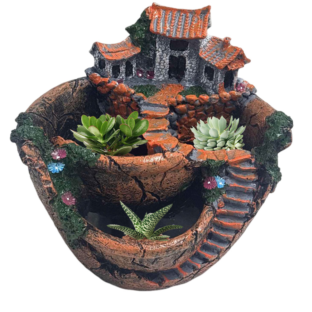 Maceta para Suculentas, Maceta - Echeveria Succulent reseña y precio