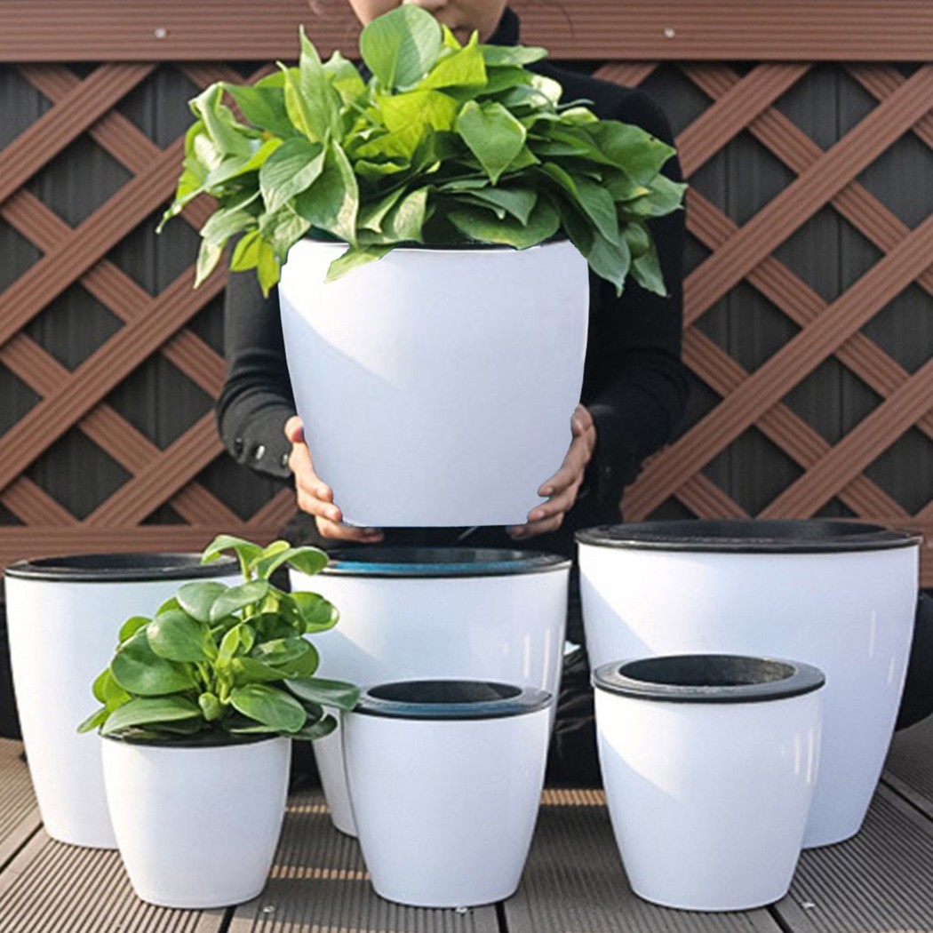 Maceta de flores de riego auto - Aloe Vera Pot reseña y precio
