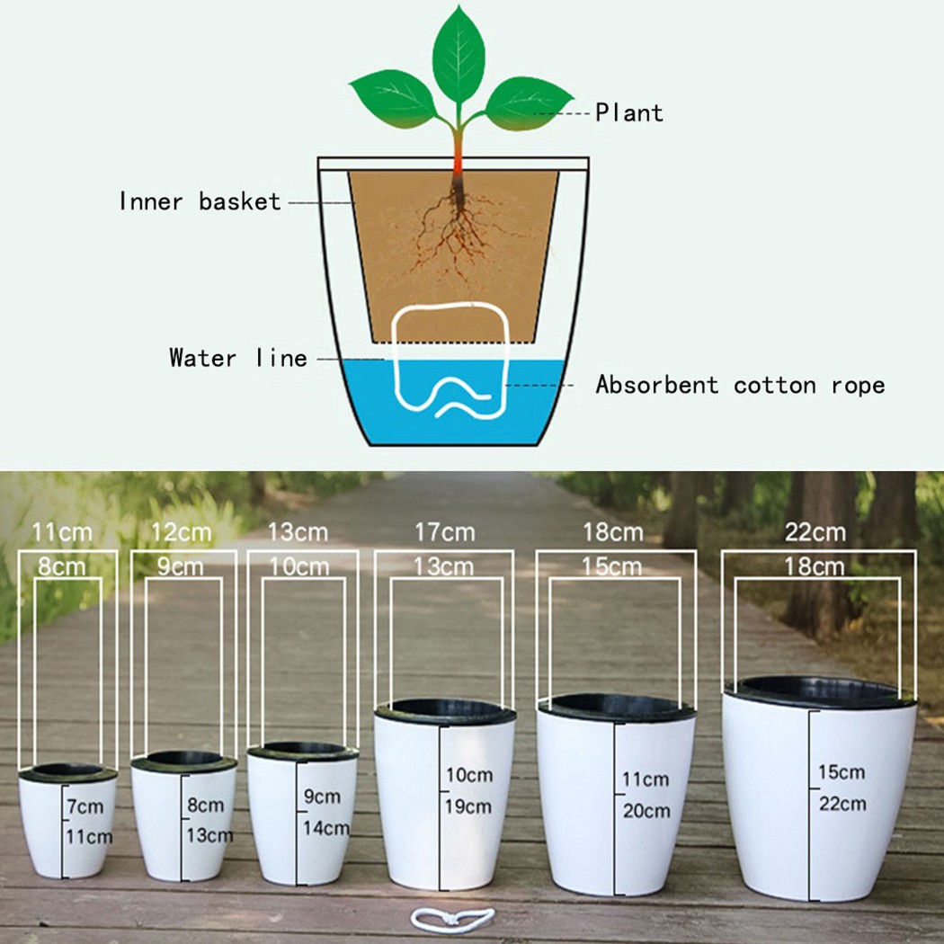 Maceta de flores de riego auto - Aloe Vera Pot reseña y precio