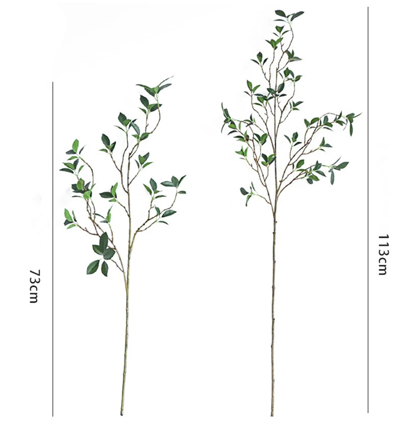 Tenuifolia Ficus rama de árbol - Ficus Lyrata Tree reseña y precio