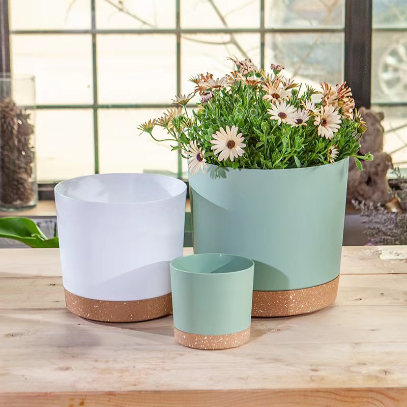 Macetas para plantas, macetas  - Aloe Vera Pot reseña y precio
