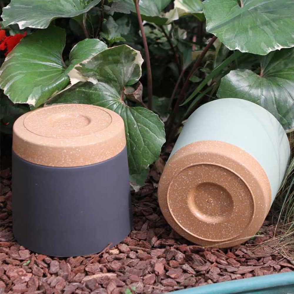 Macetas para plantas, macetas  - Aloe Vera Pot reseña y precio