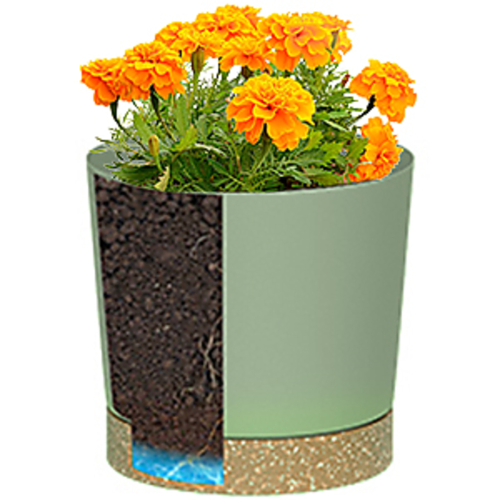 Macetas para plantas, macetas  - Aloe Vera Pot reseña y precio