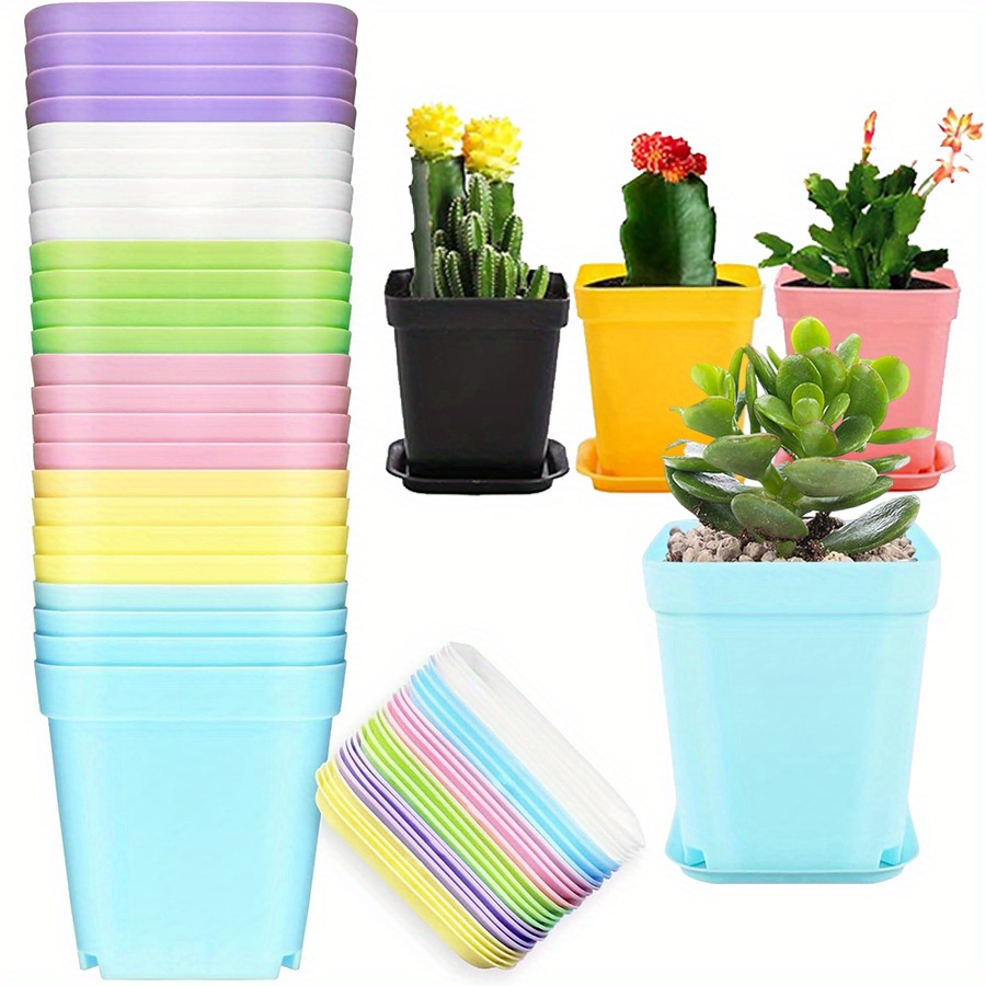 Macetas cuadradas de plástico  - Aloe Vera Pot reseña y precio