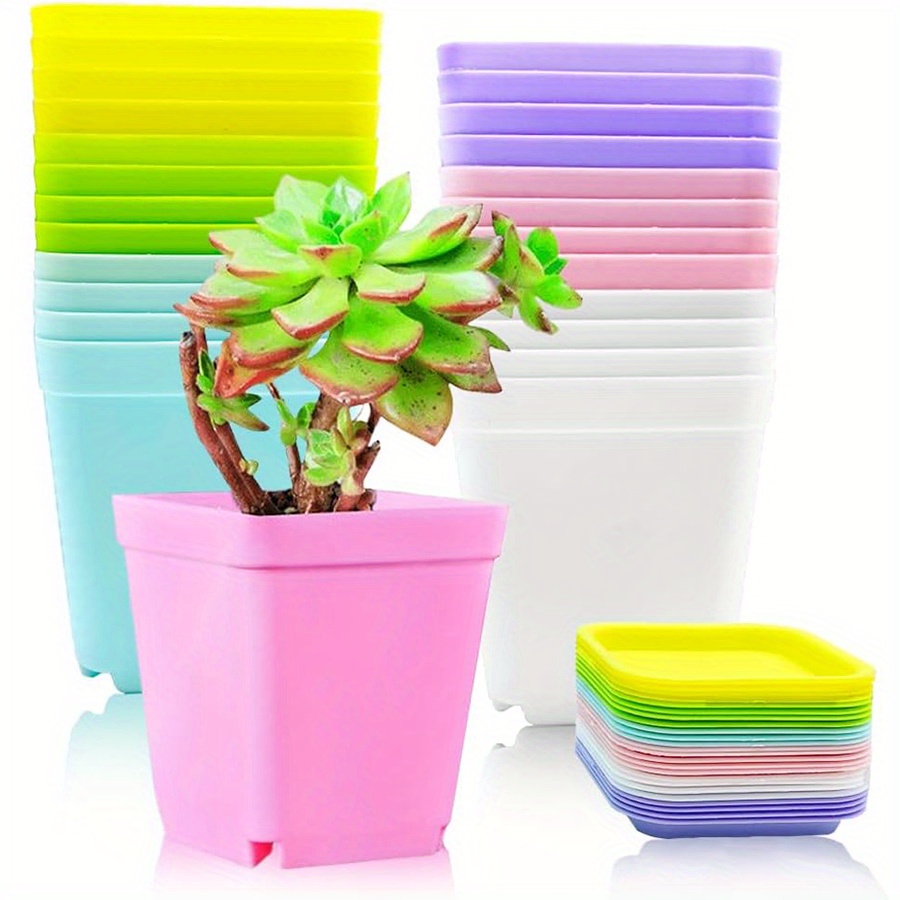 Macetas cuadradas de plástico  - Aloe Vera Pot reseña y precio