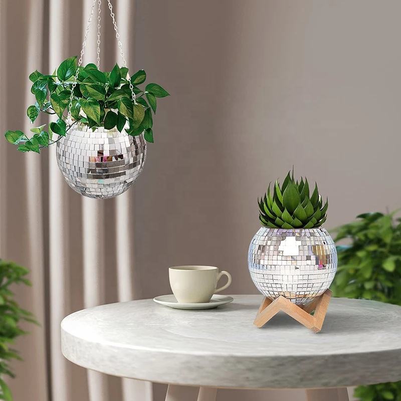 Maceta Colgante con Espejo Est - Echeveria Succulent reseña y precio