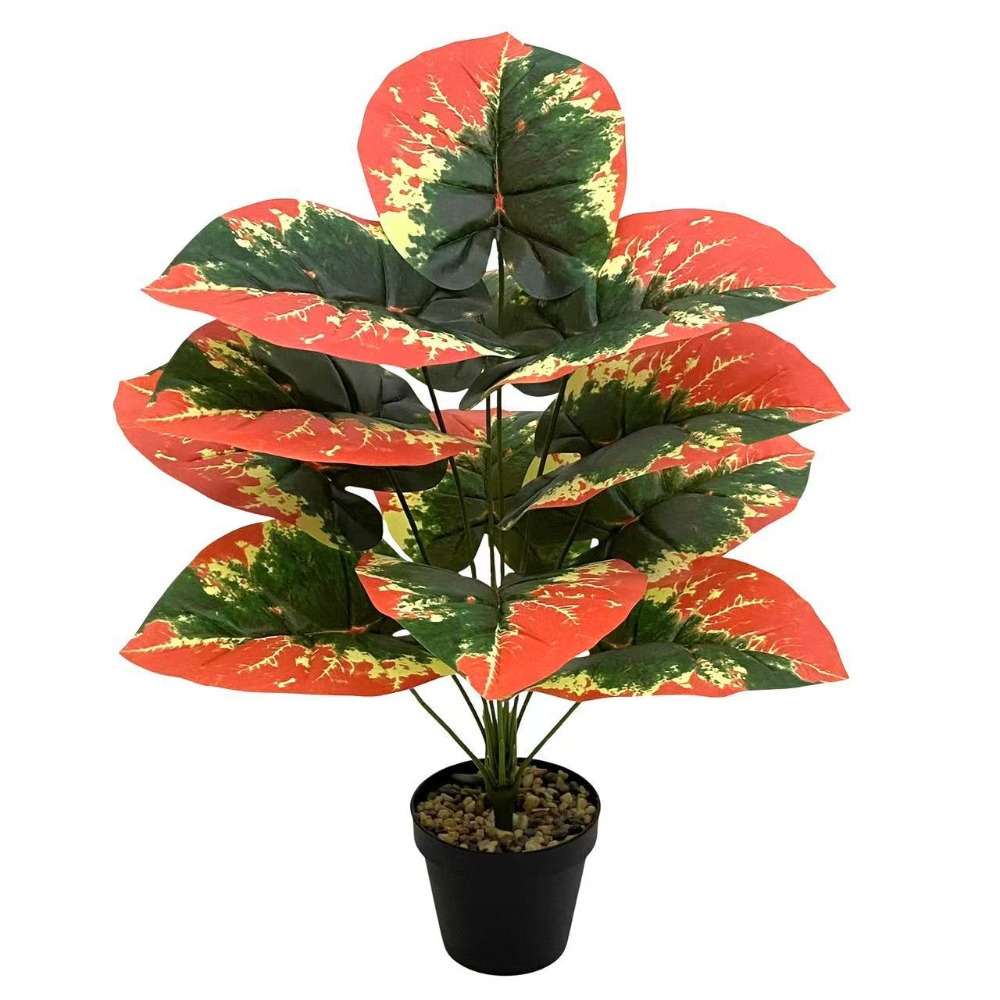 Plantas tropicales artificiale - Ficus Lyrata Tree reseña y precio