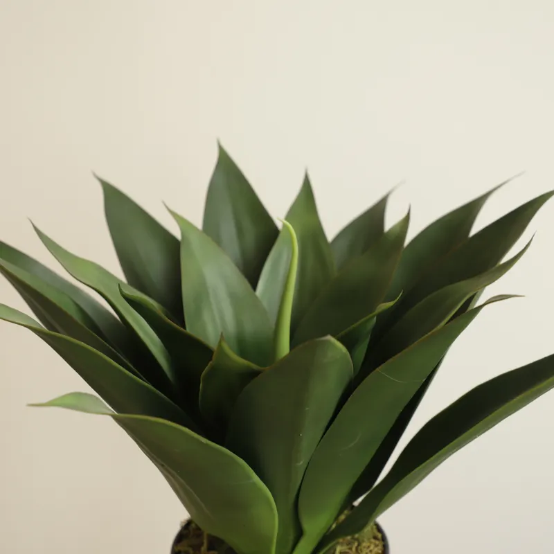 Planta Artificial de Aloe Vera - Aloe Vera Pot reseña y precio