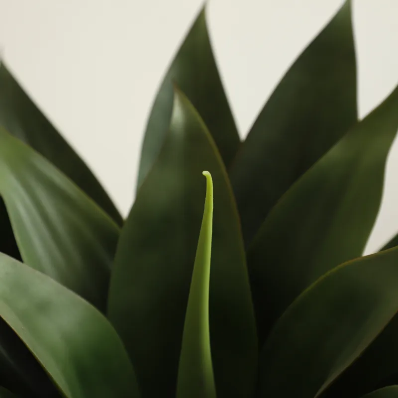 Planta Artificial de Aloe Vera - Aloe Vera Pot reseña y precio